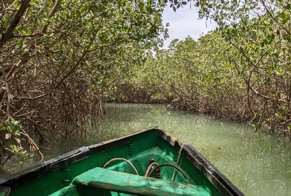 Taking a Boat Ride Through the Somone Lagoon