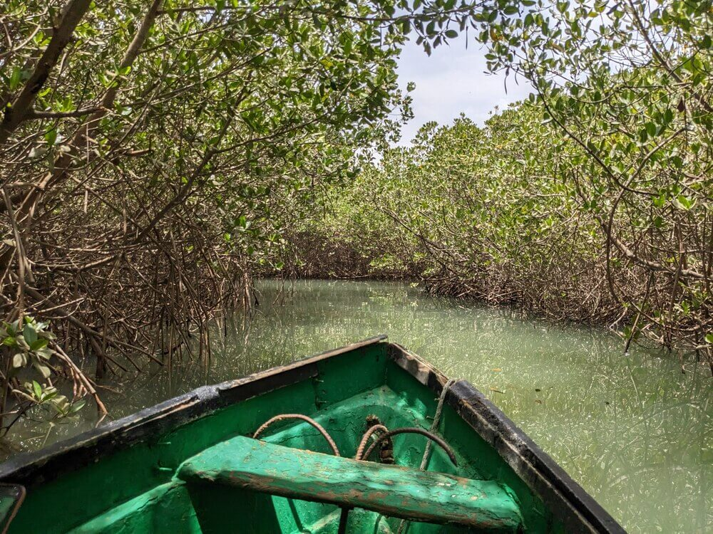 Boat ride through the mangroves in the lagoon in La Somone, Senegal